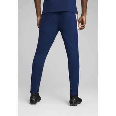 Męskie spodnie treningowe Portugalia PUMA Persian Blue Sugared Almond Beige