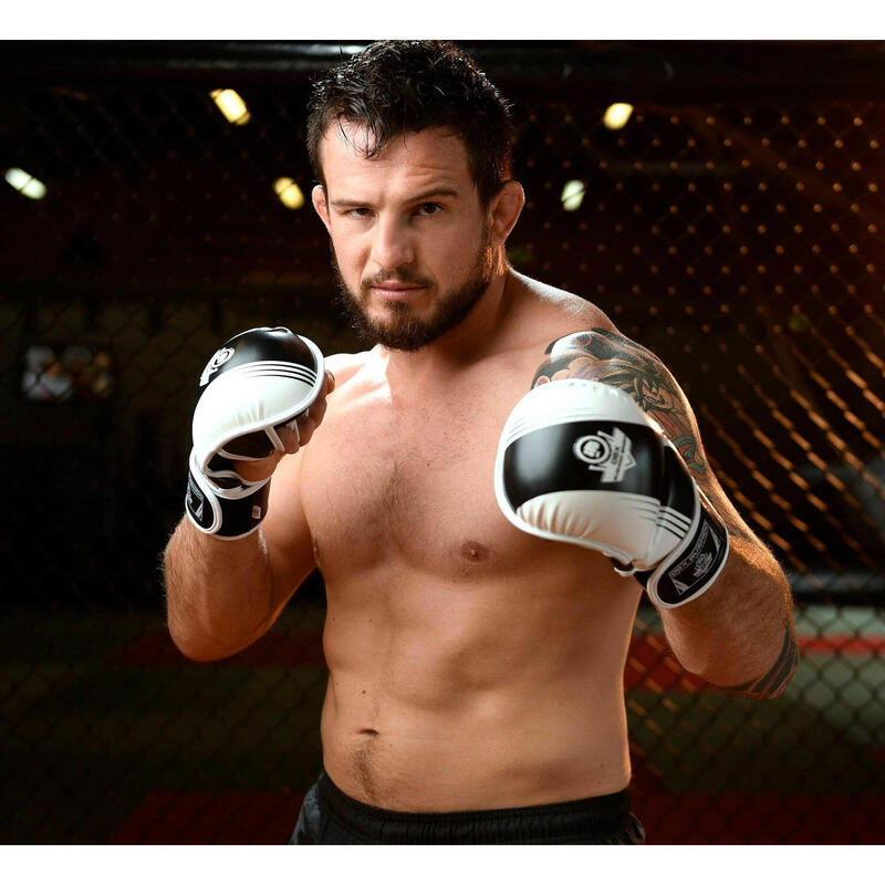 MMA rukavice DBX BUSHIDO ARM-2011A L/XL