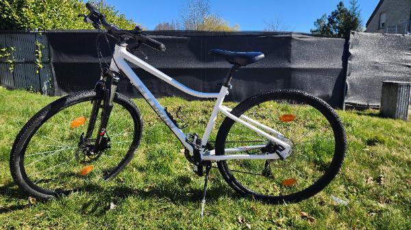 BTWIN picture