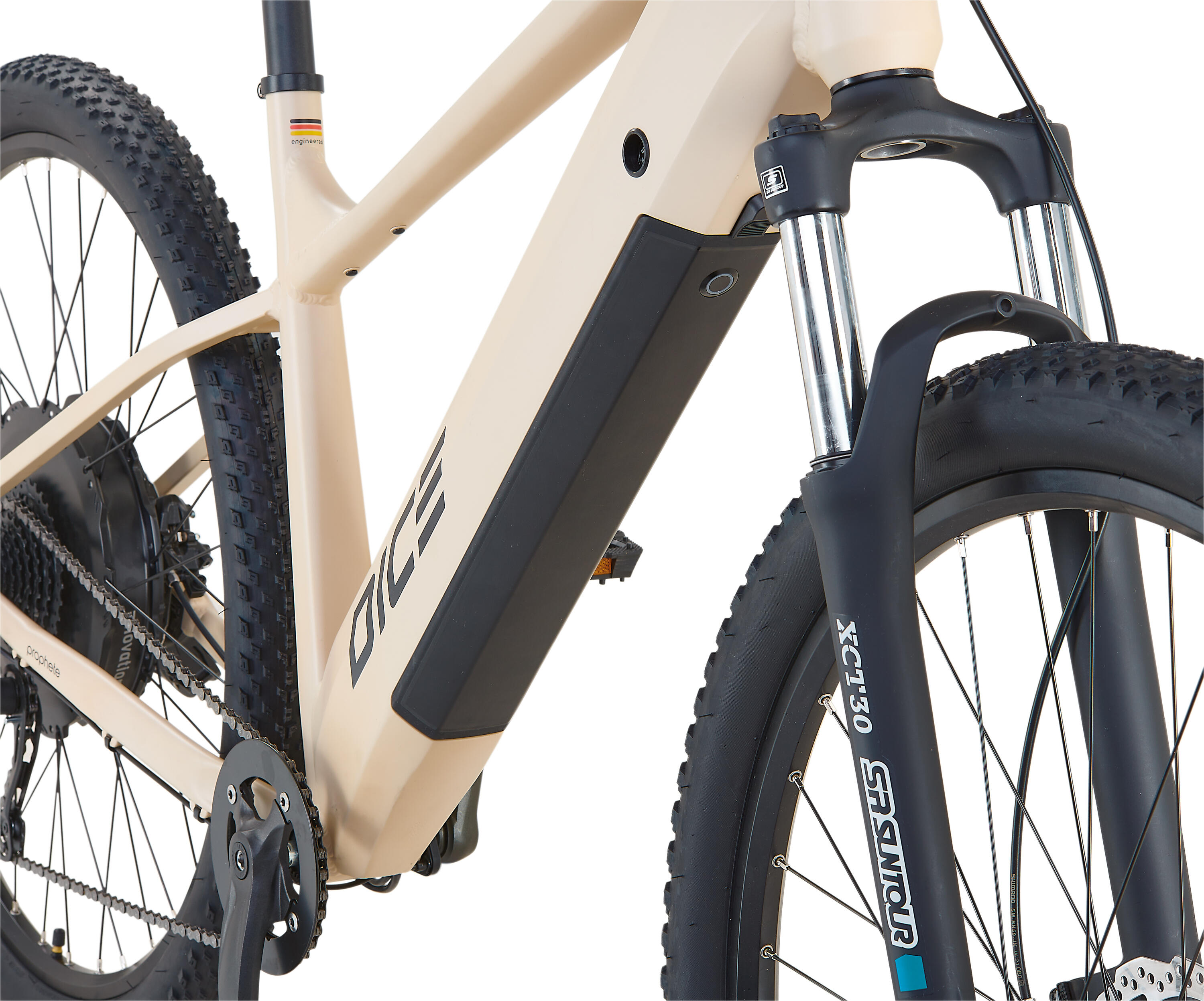 Prophete Dice 2.0 E-MTB E-Bike 29 Zoll 4/5