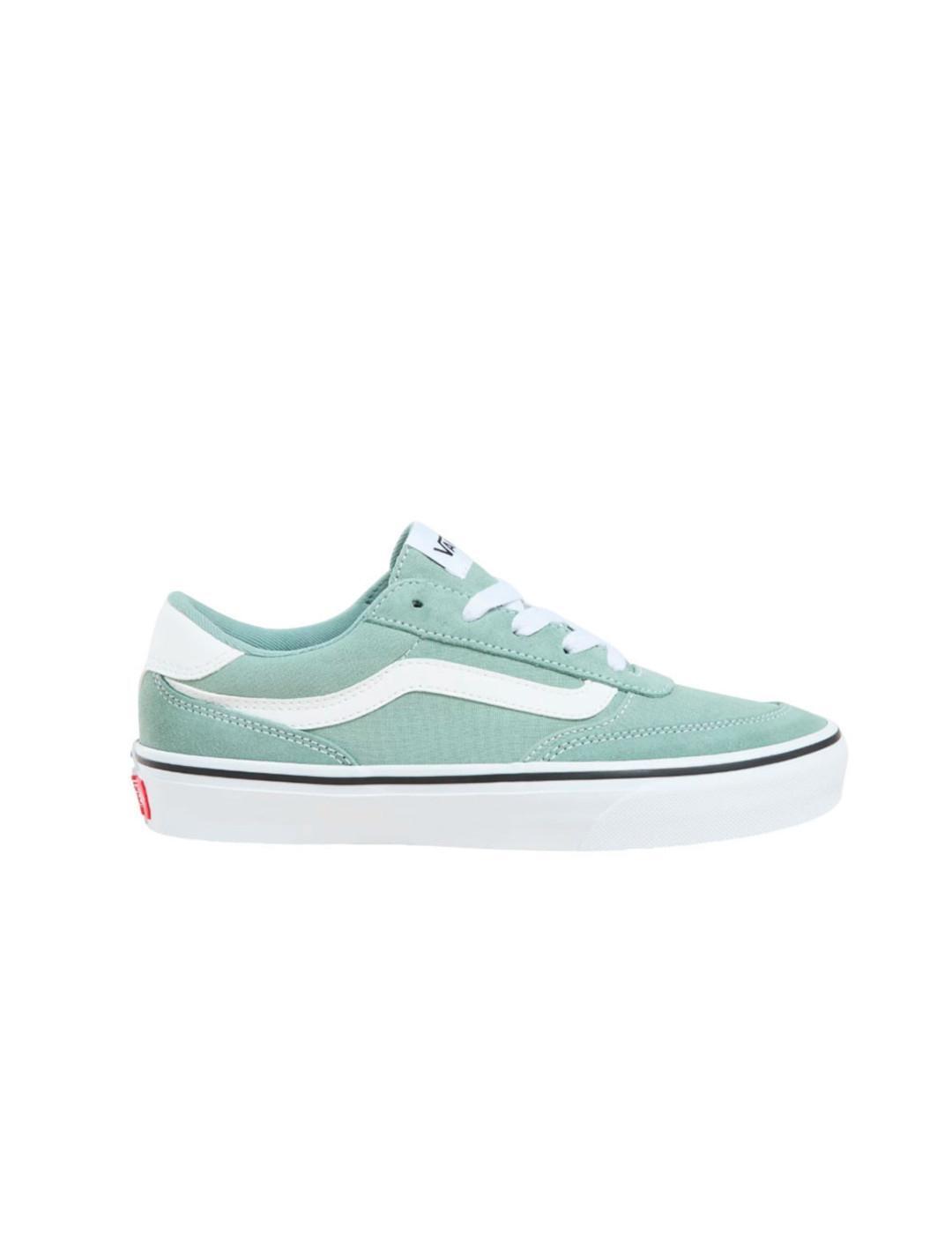 VANS picture