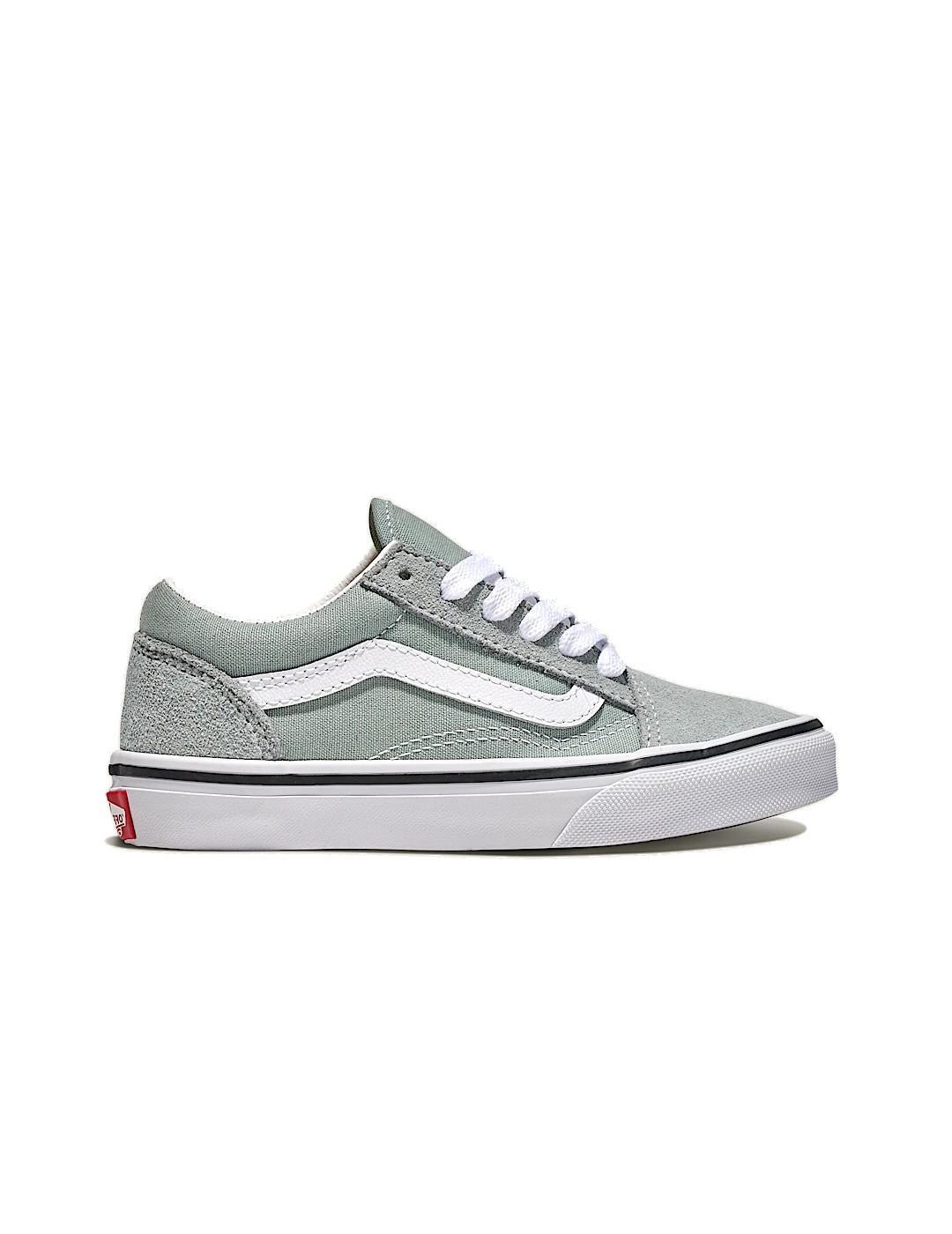 VANS picture