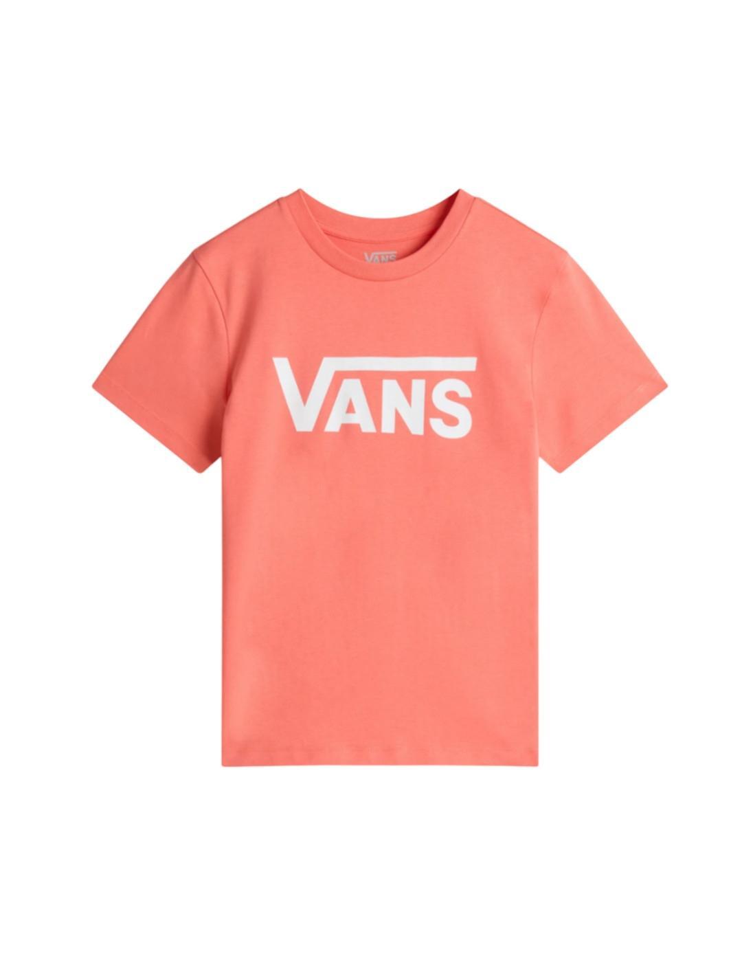 VANS picture