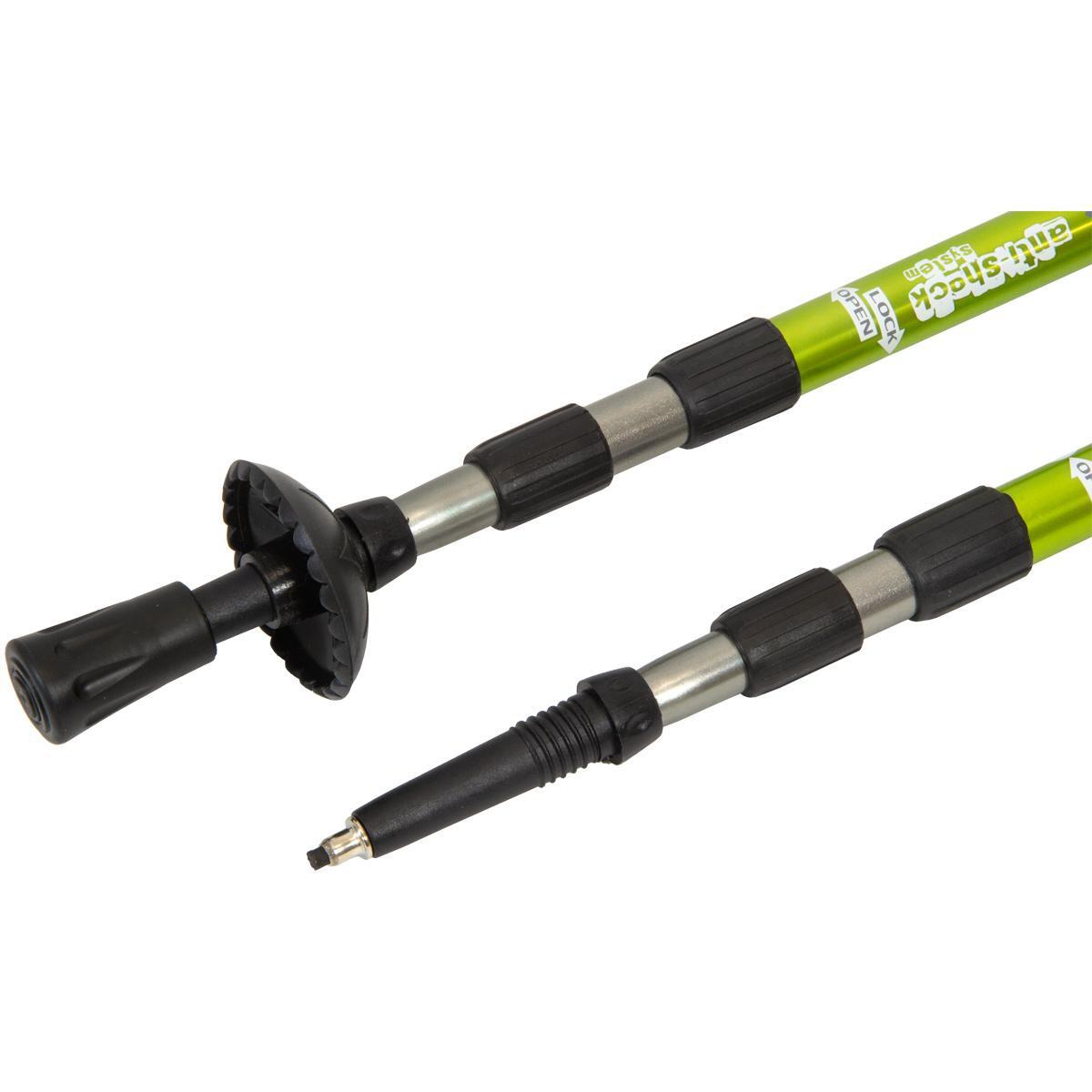 Kije trekkingowe Enero Expedition 64-135 cm 6/7