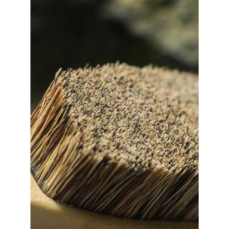 Brosse D'Escalade à Poils De Sanglier – Manche Nylon 185mm, 8720 Poils Durs, Idéale Pour Nettoyer Les Prises Et Craies, Mur Intérieur Ou Extérieur
