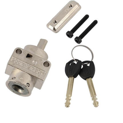 Abus Bosch XPlus Schließzylinder pivot für PowerTube Akkus - sicheres Akkusch...