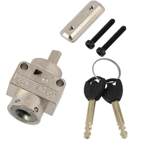 Abus Bosch XPlus Schließzylinder pivot für PowerTube Akkus - sicheres Akkusch...