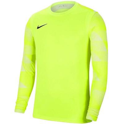 Maglia Da Portiere Manica Lunga Uomo Nike Park IV Grigio