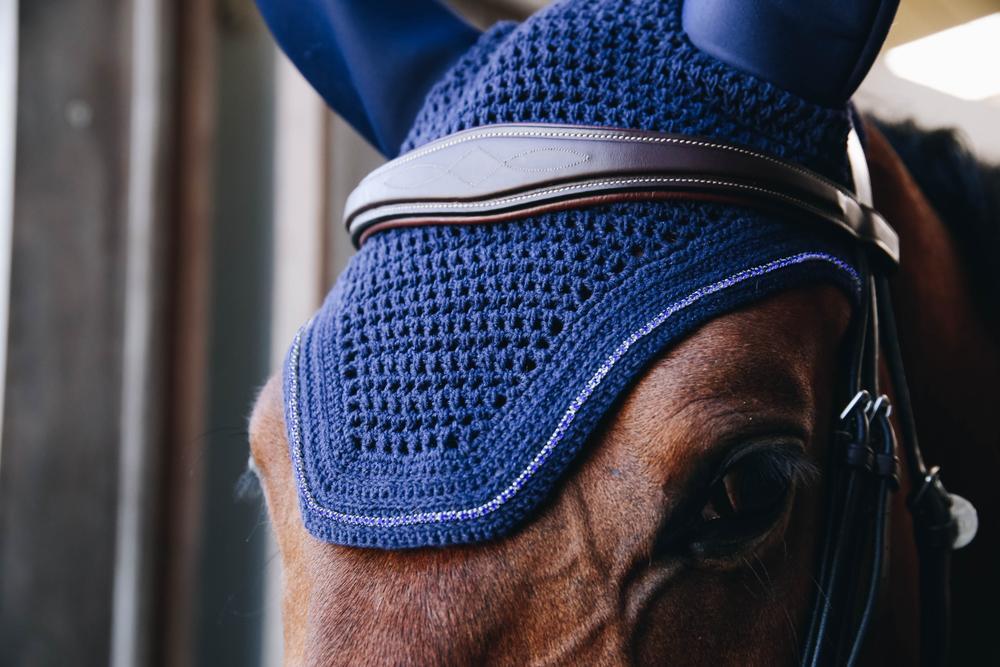 Cuffia per il rumore del cavallo Kentucky Wellington Sparkling 2/2