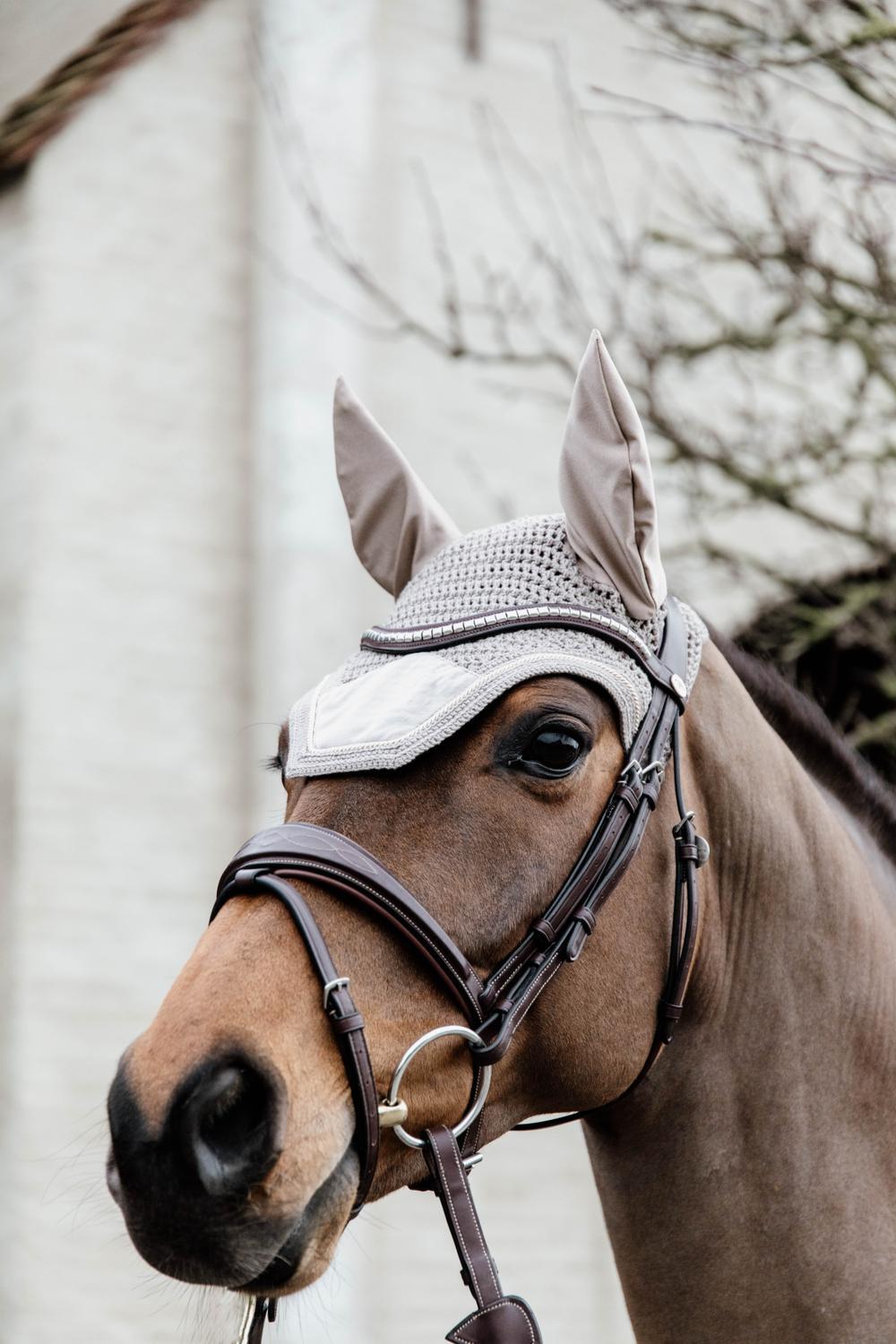 Bonnet anti-mouche Wellington basic velvet beige 3/3