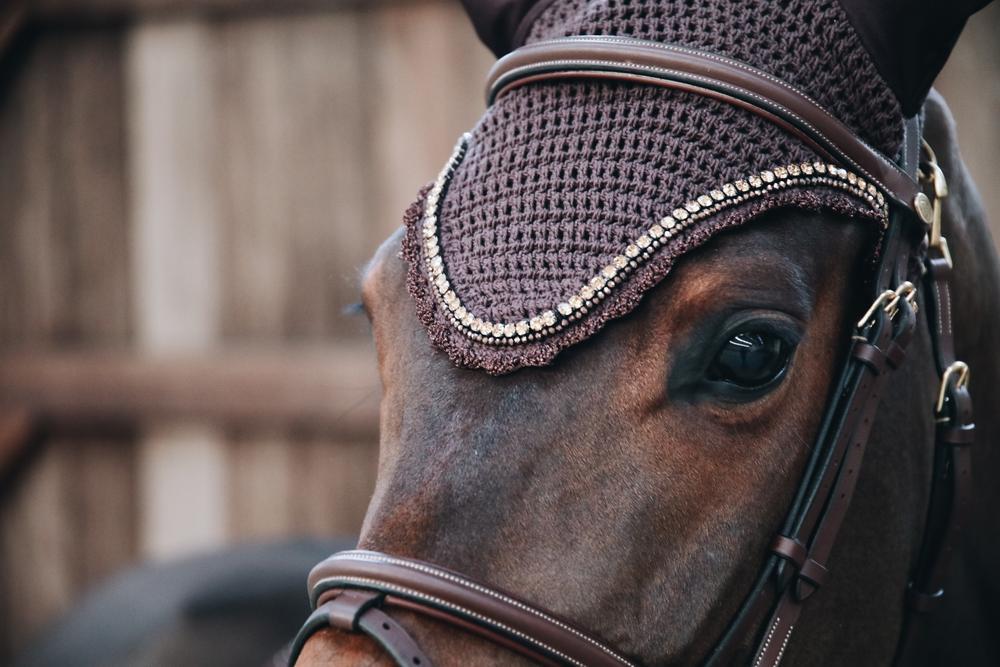 Bonnet anti-mouche long stone & pearl brun 3/4