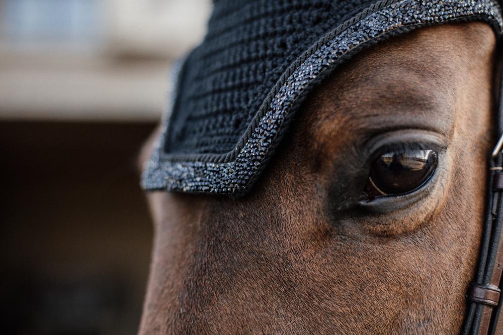Czapka z napisem Horse noise Kentucky Wellington Glitter 3/7