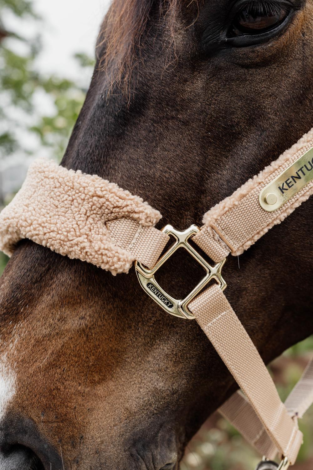 Kentucky Teddy Fleece halster Beige - Full 4/4