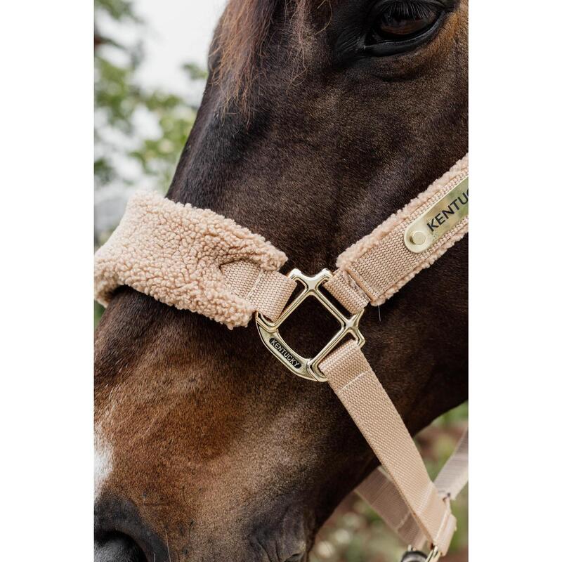 Licol Teddy fleece Vieux beige Full