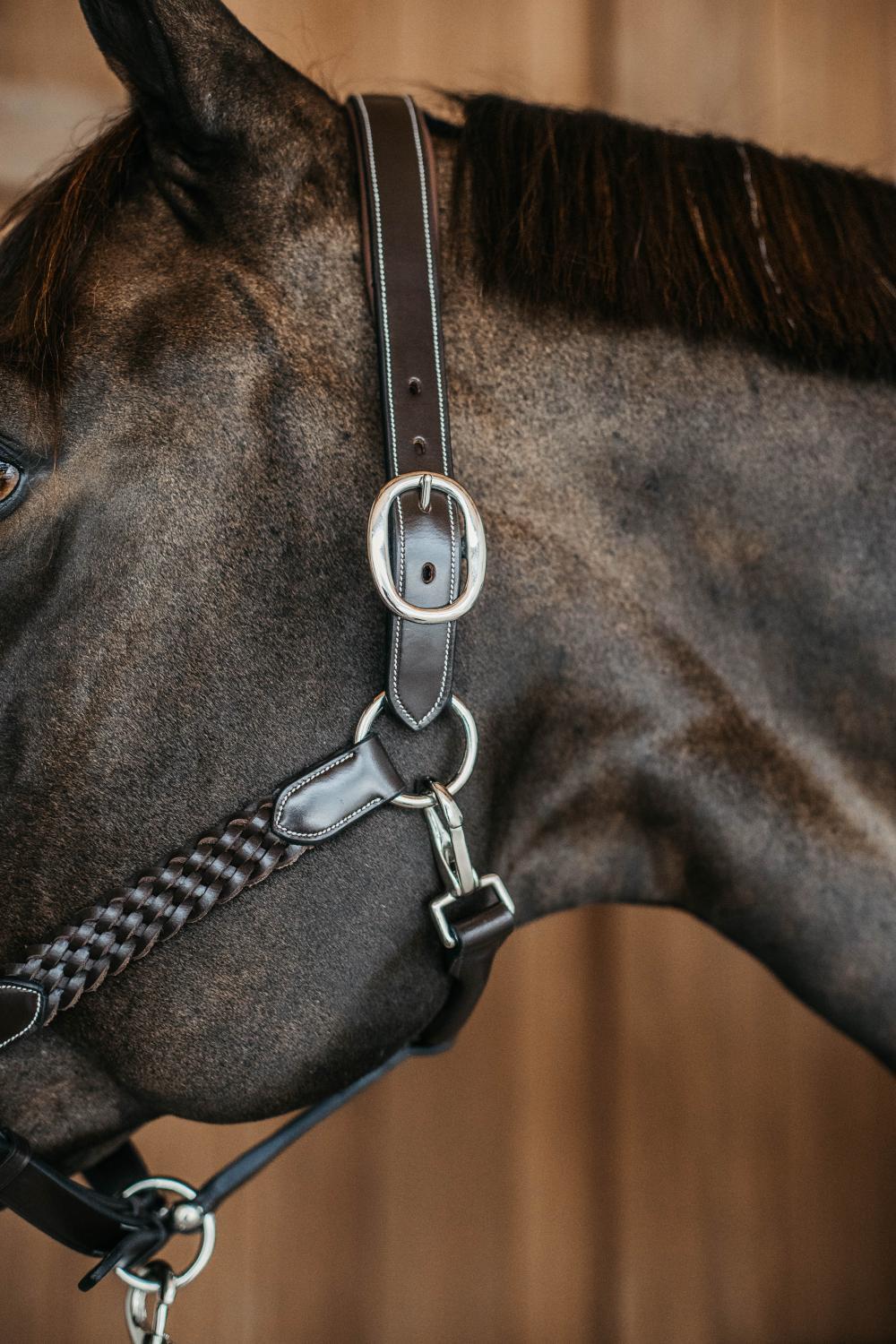 Licol tressé cuir pour cheval Dy'on 3/5