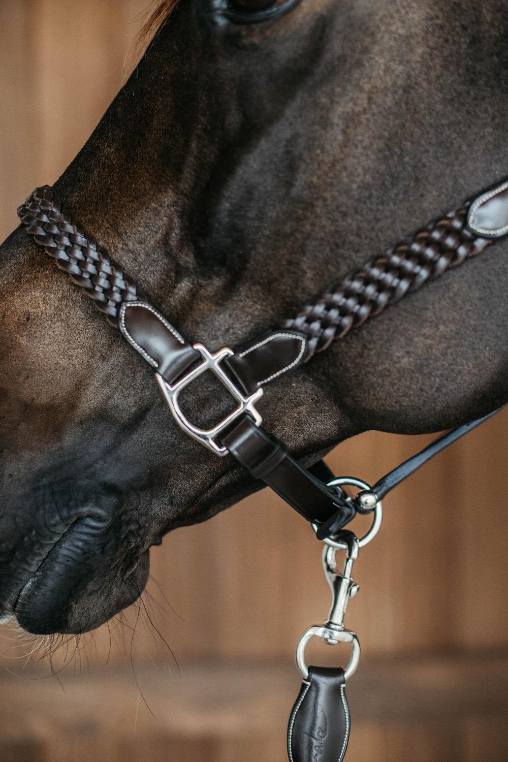 Licol tressé cuir pour cheval Dy'on 4/5
