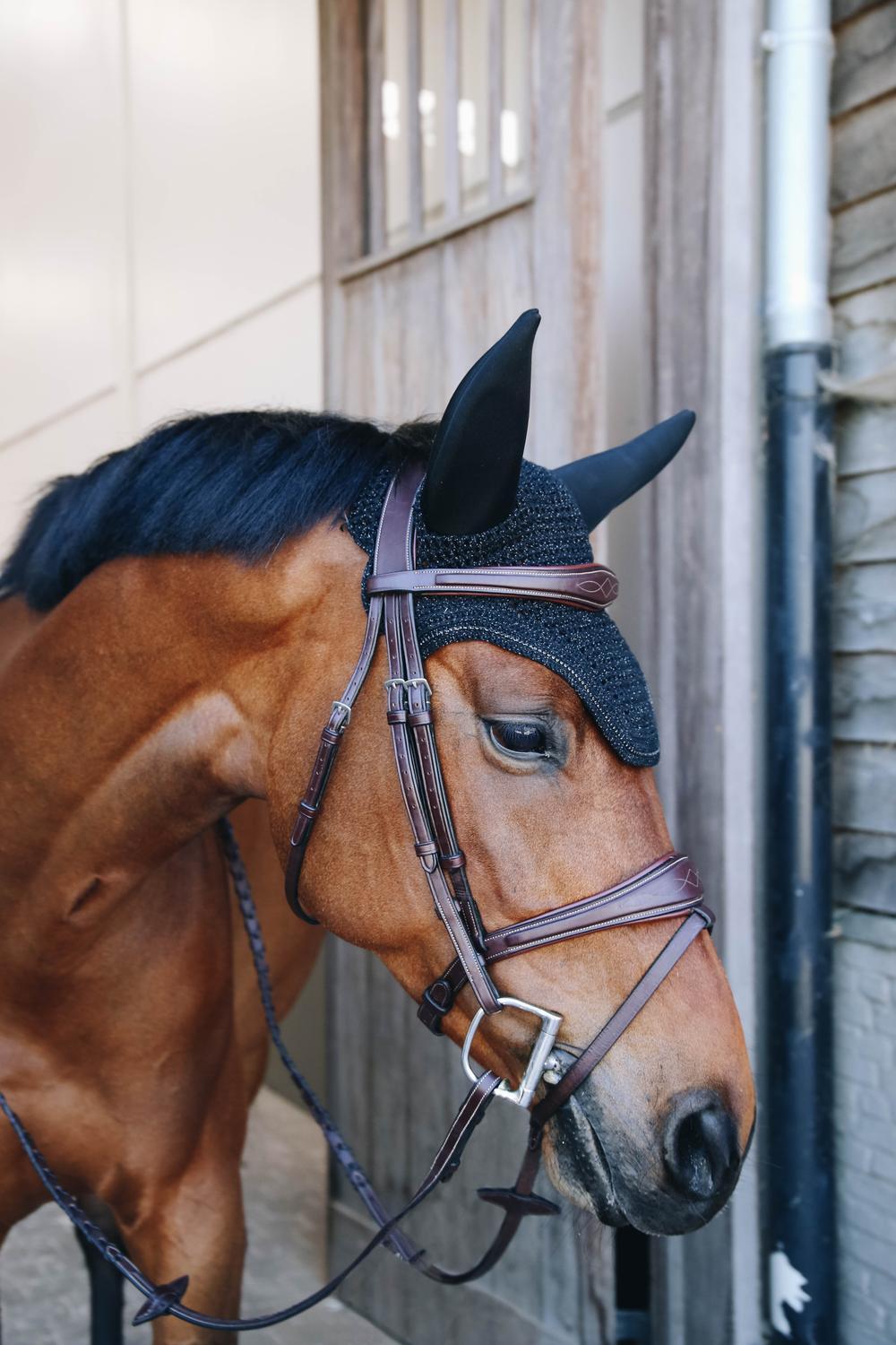 Bonnet anti-mouche Wellington sparkling Soundless noir 2/3