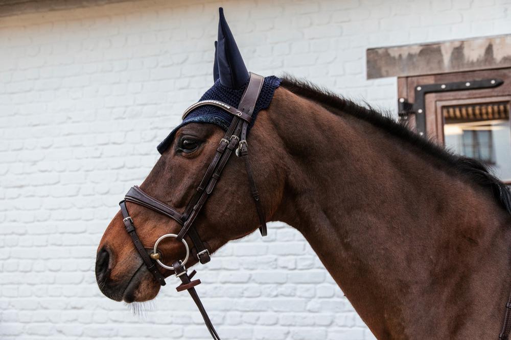 Maschera antimosche Kentucky Horsewear Wellington 3/7