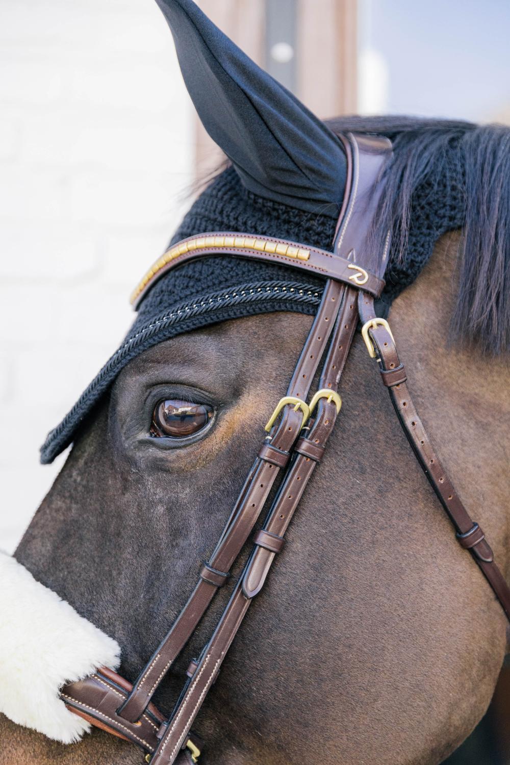 Orejeras para caballo anti moscas Kentucky Wellington 2/3