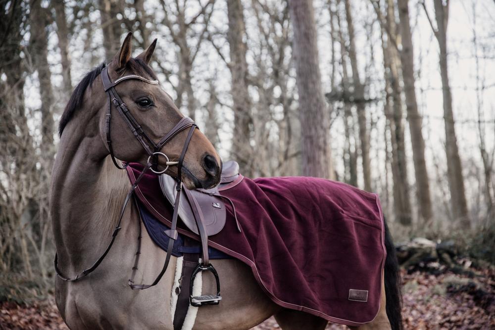 Couvre reins heavy fleece bordeaux medium 4/4