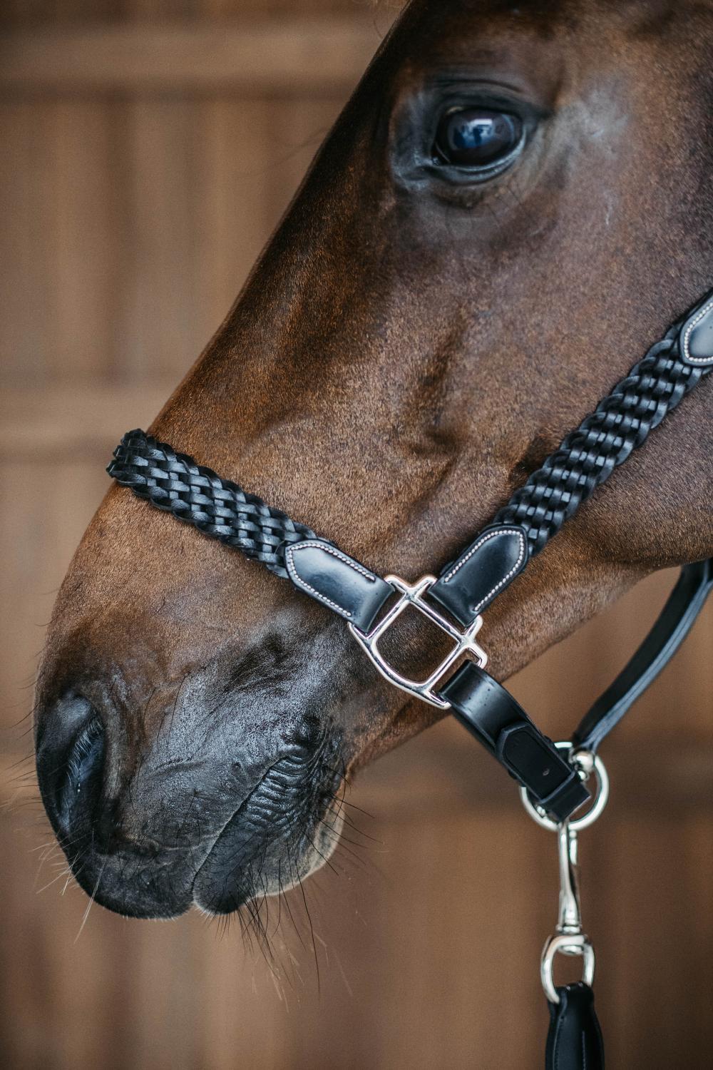Cabestro de cuero trenzado para caballo Dy'on 2/2