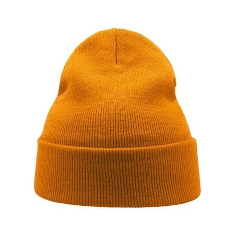 Wind Double Skin Beanie With Turn Up (Golden Yellow) 3/3