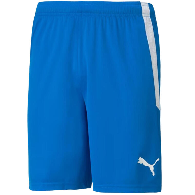 Męskie Spodenki Team Liga