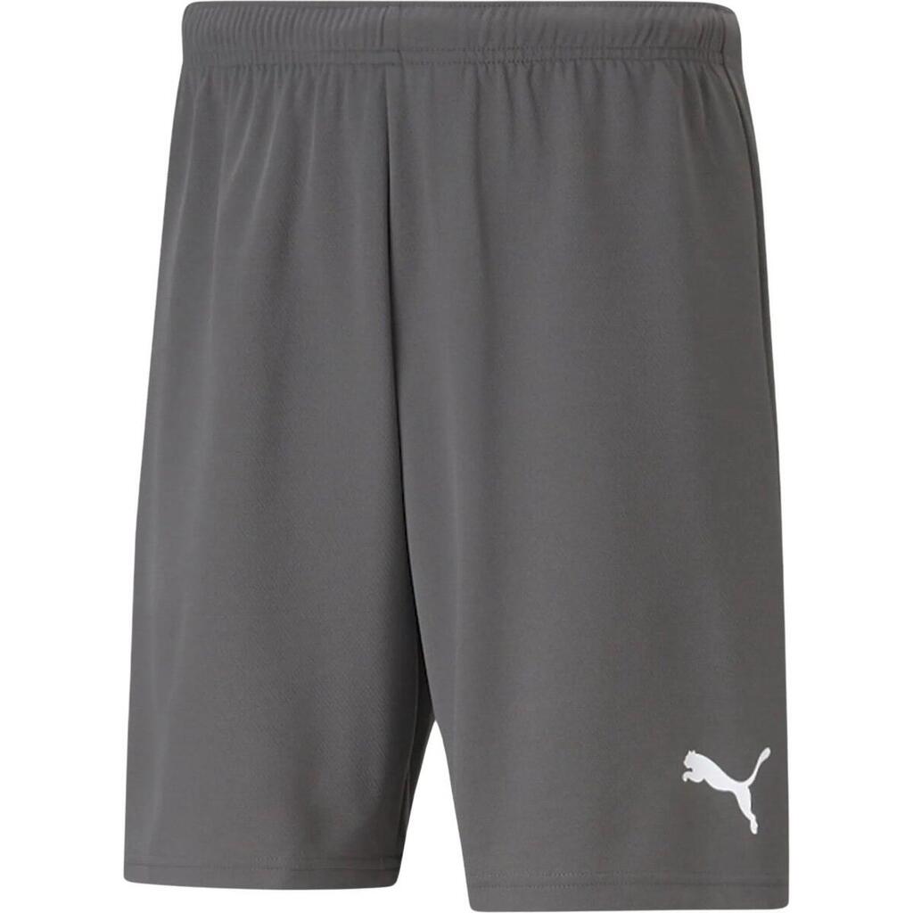 Mens TeamRISE Sweat Shorts (Grey)