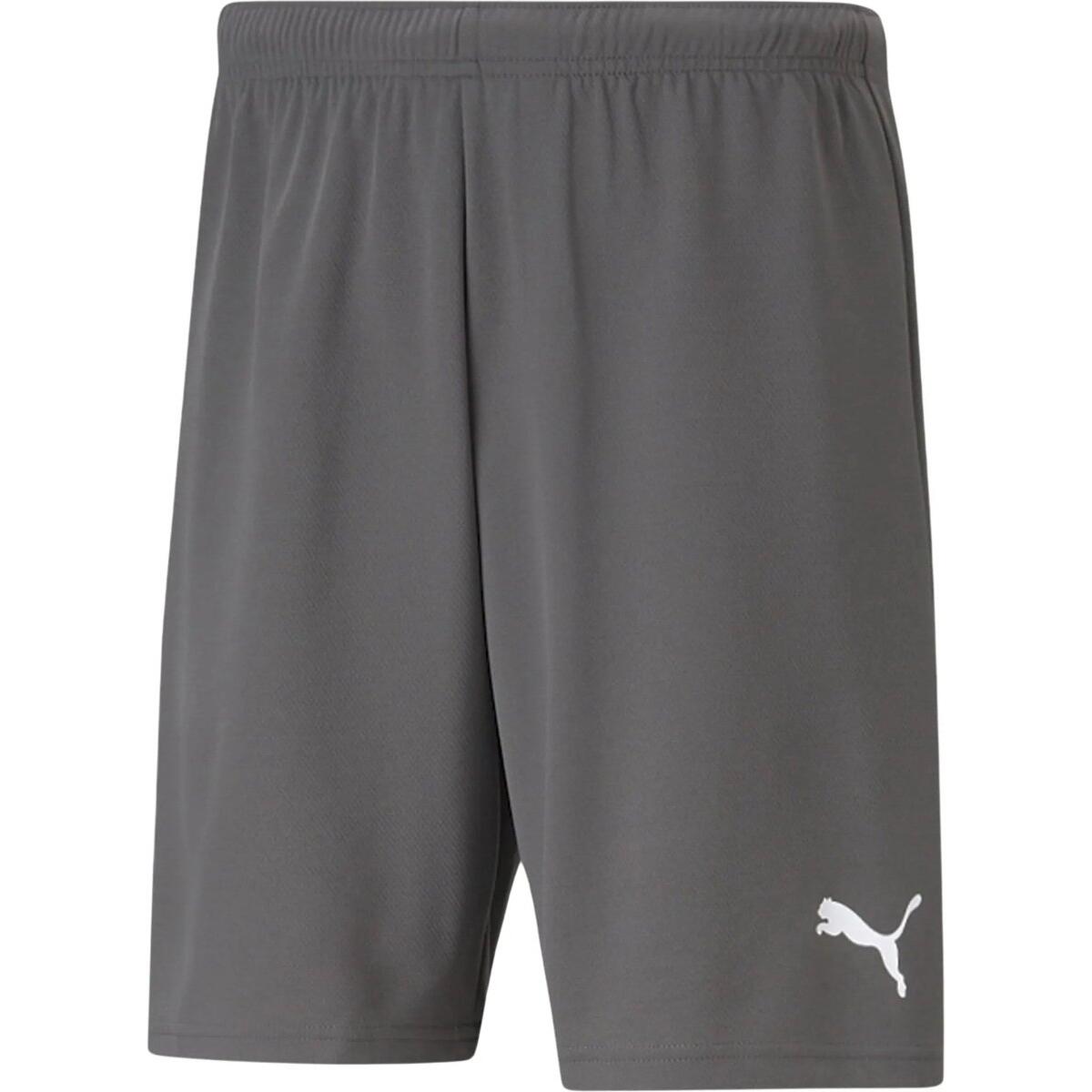 PUMA Heren TeamRISE Sweat Shorts (Grijs)