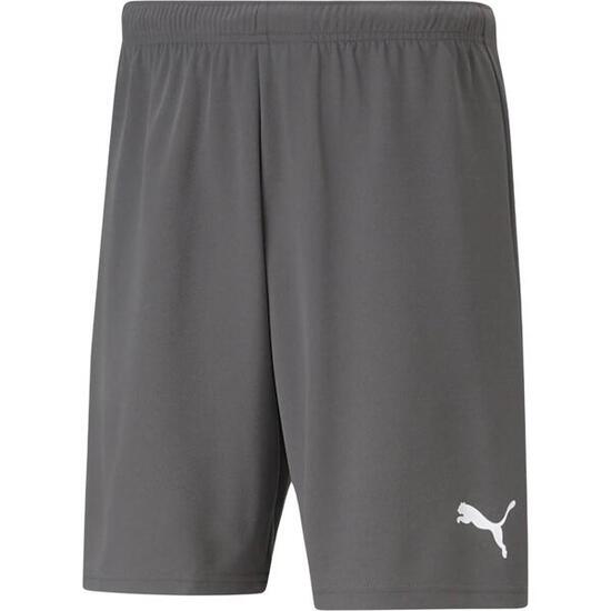 Heren TeamRISE Sweat Shorts (Grijs)