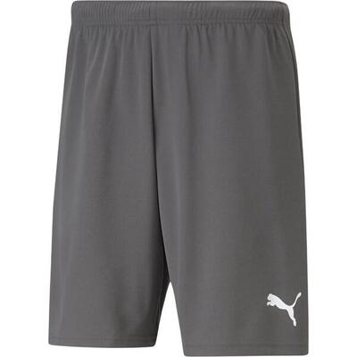 Heren teamrise sweat shorts (grijs)