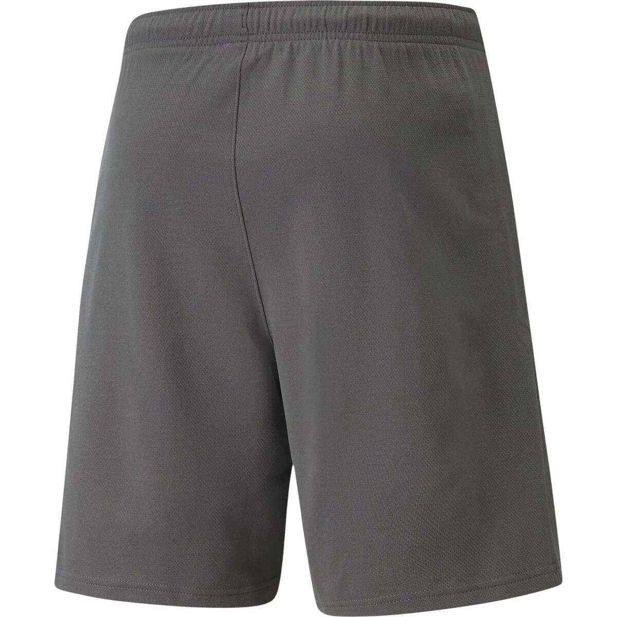 "TeamRISE" SweatShorts für Herren Grau 2/3