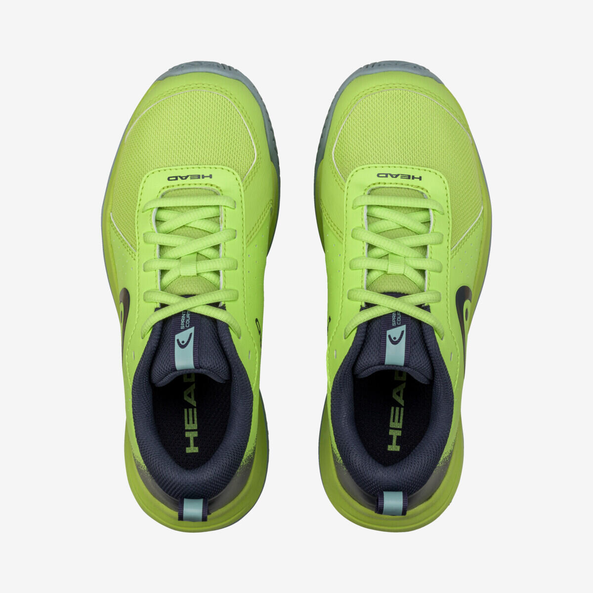 Chaussures de padel homme - HEAD Motion Team Bleu HEAD