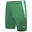 Short TEAM LIGA Homme (Vert)