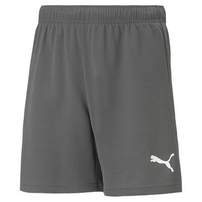 Teamrise shorts voor kinderen (grijs)