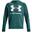 Hanorac Drumeții În Natură Under Armour Rival Bărbați