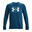 Hanorac Drumeții În Natură Under Armour Rival Terry Bărbați