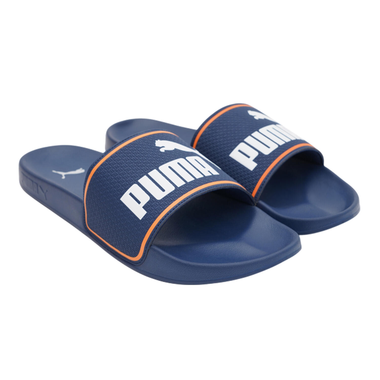PUMA picture