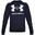 Hanorac Drumeții În Natură Under Armour Rival Bărbați