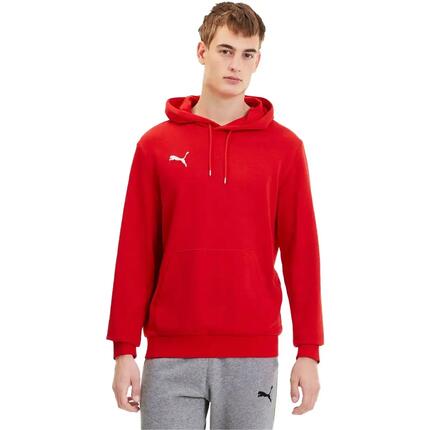 Heren TeamGoal 23 Hoodie (Groen)