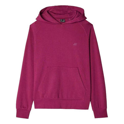 Dames wmm00tswsf1468 hoodie (paars)