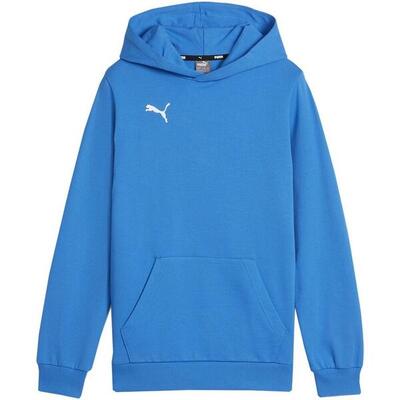 Felpa Con Cappuccio Casual Bambini Puma TeamGoal 23 Grigio Argento