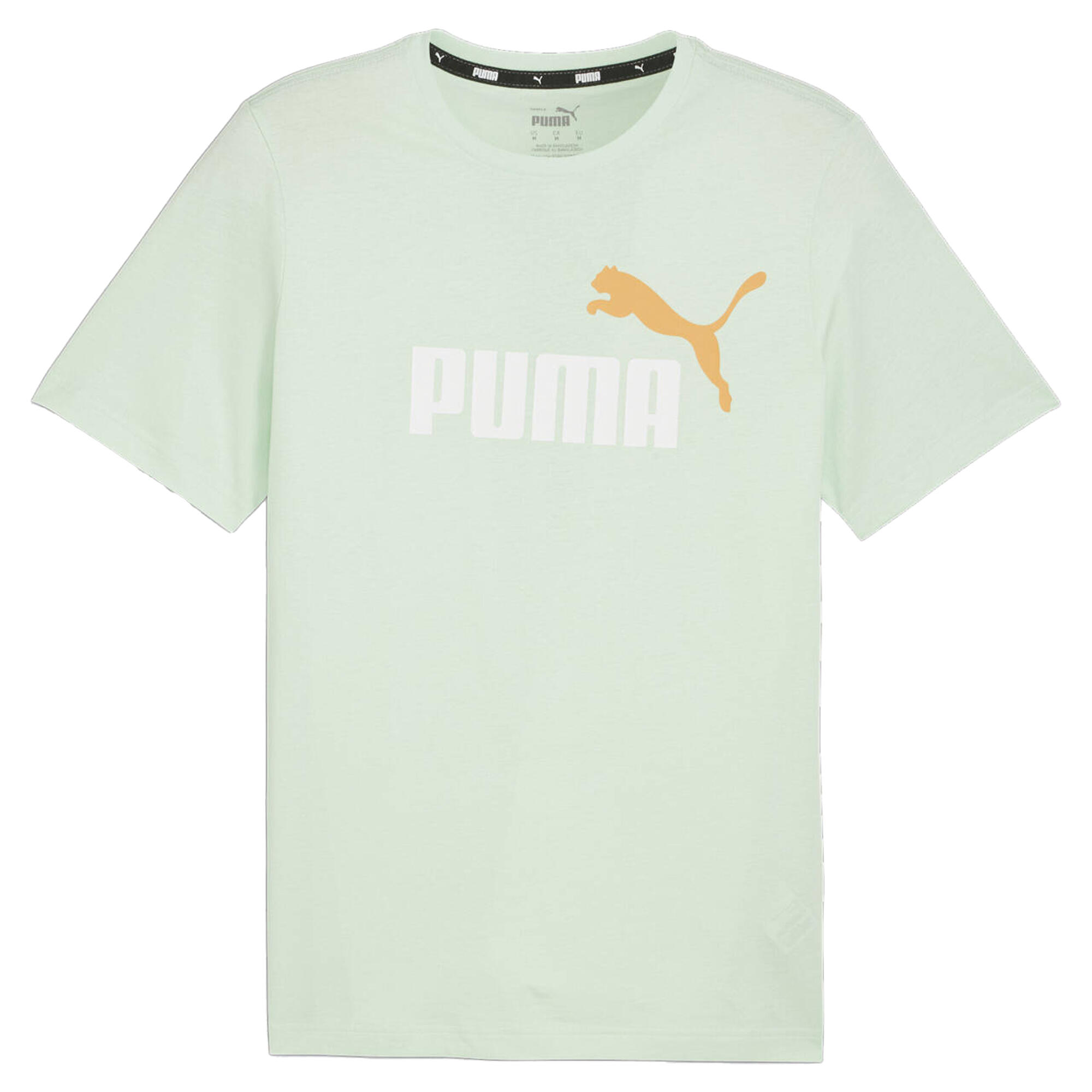 PUMA picture