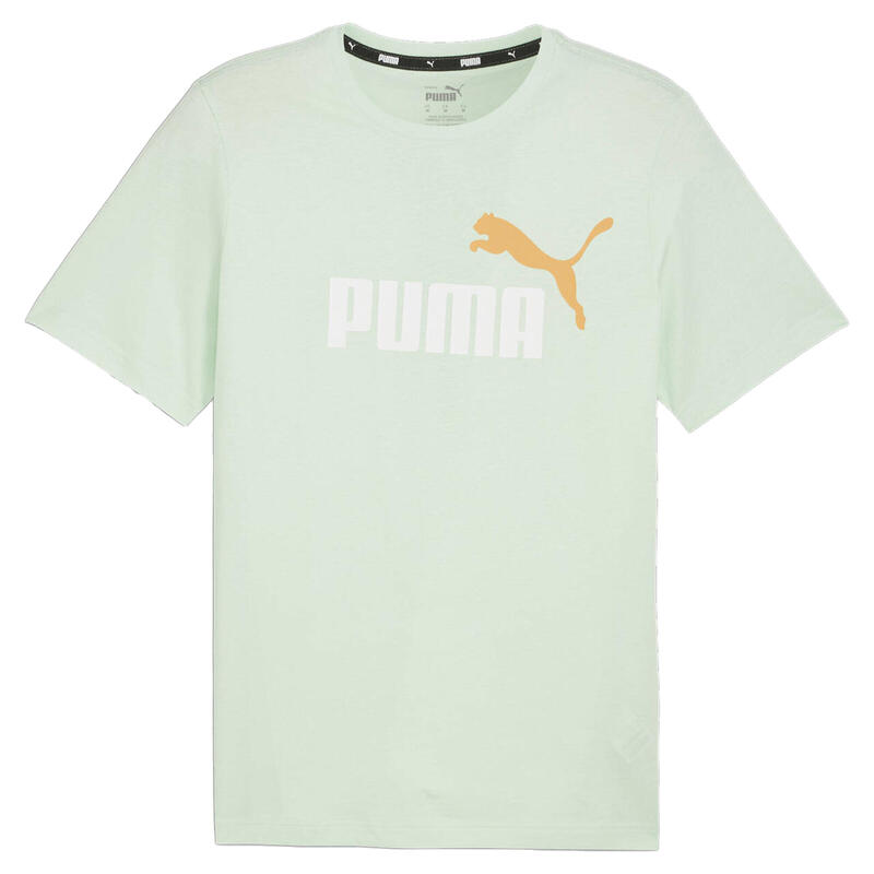 e7673a12-7cd6-42d7-8aeb-9d492dfad01c_c9