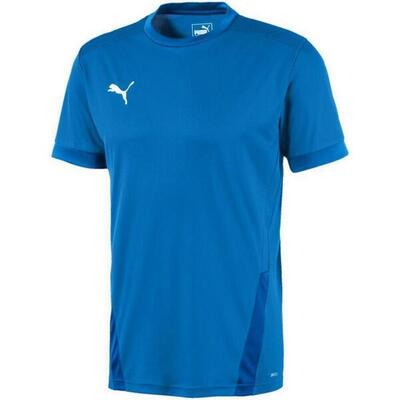 Maglia Uomo Puma TeamGoal 23 Verde