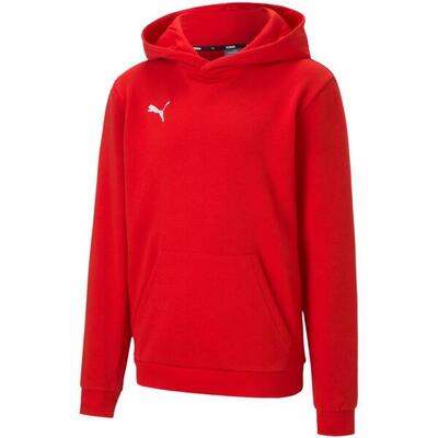 Felpa Con Cappuccio Casual Bambini Puma TeamGoal 23 Grigio Argento