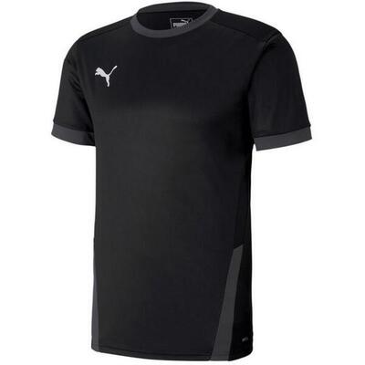 Maglia Uomo Puma TeamGoal 23 Verde