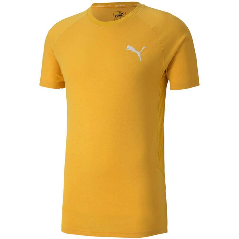 Tricou Drumeții În Natură Puma Evostripe Lite Bărbați