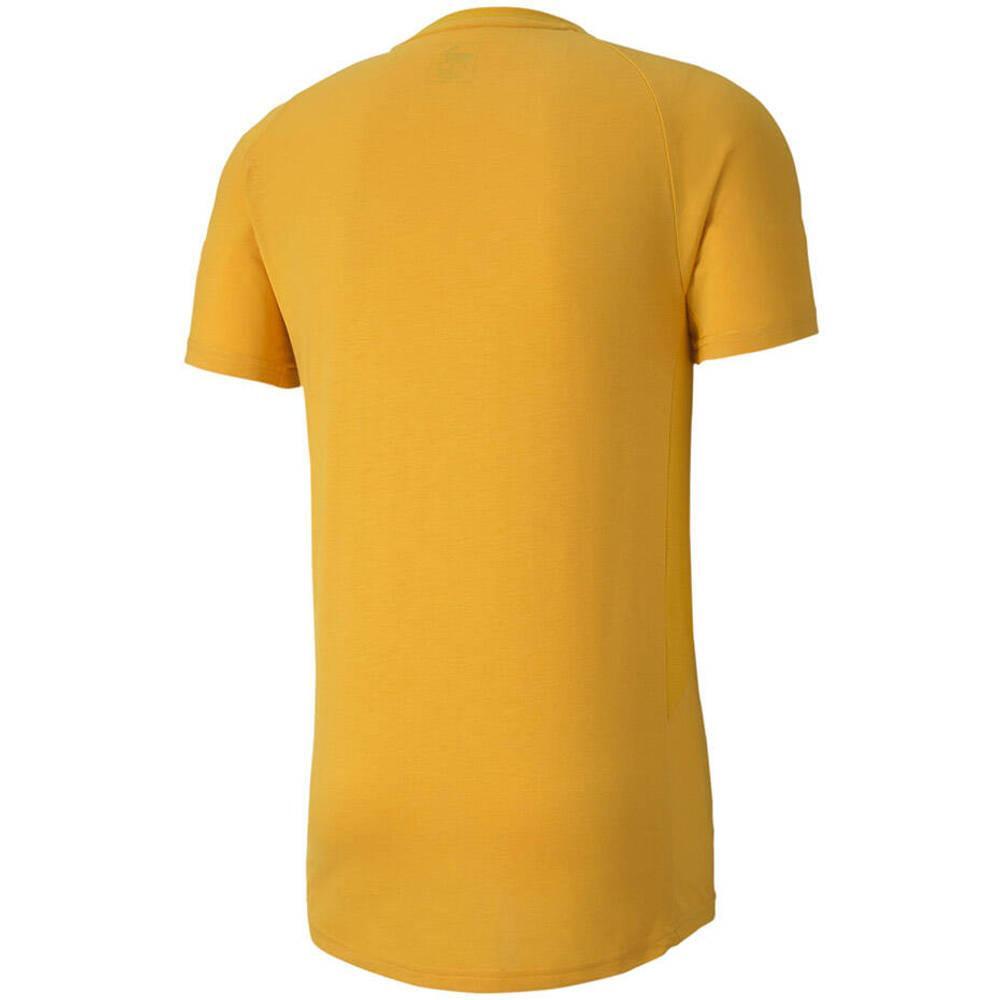 Heren Evostripe Lite TShirt (Geel) 2/2