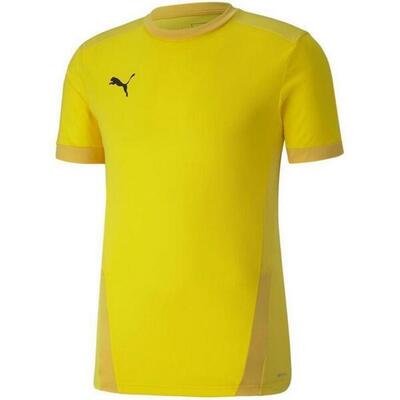 Maglia Uomo Puma TeamGoal 23 Verde